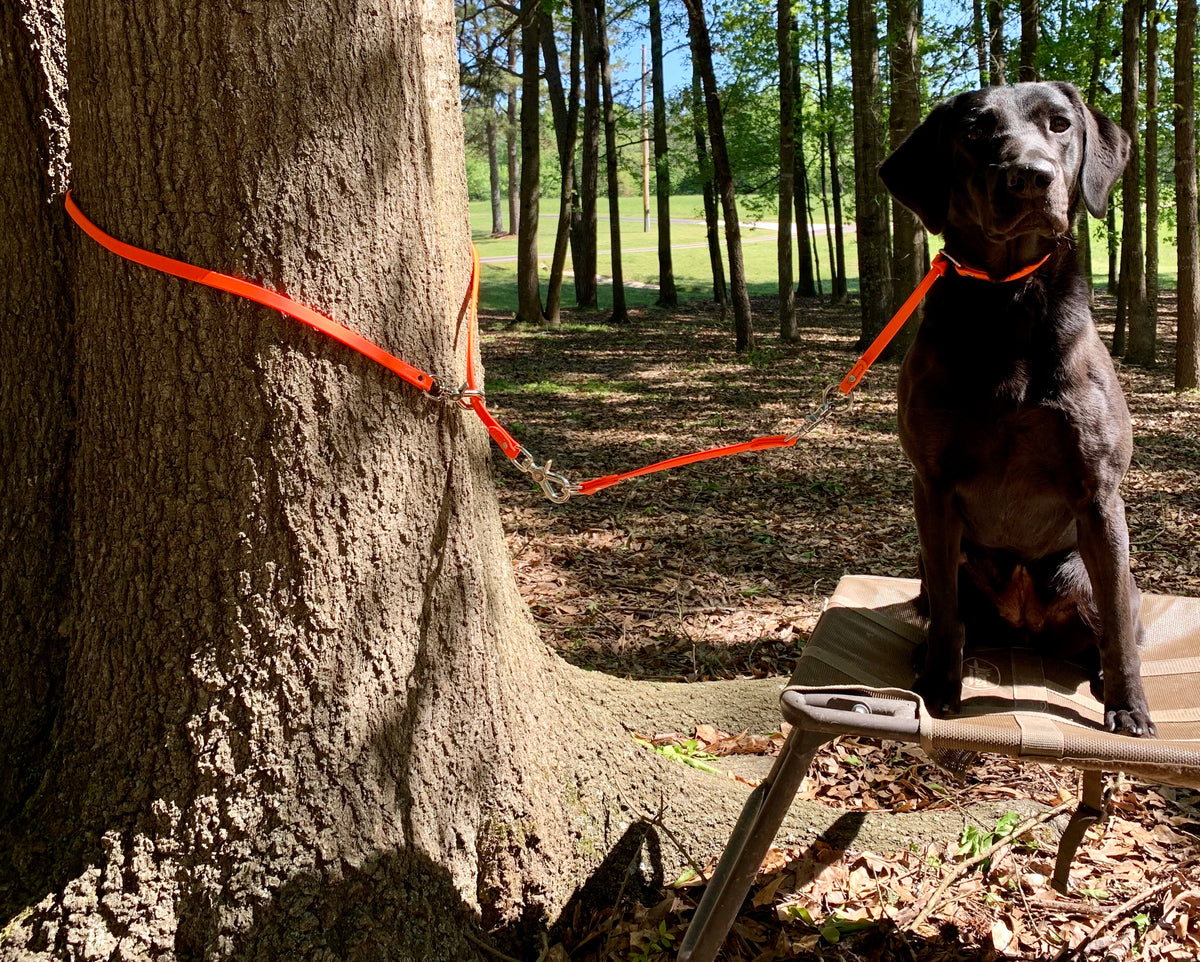 Wildrose Tree Tie Lead1