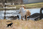 Basic Handlers Workshop - March 11-12, 2027