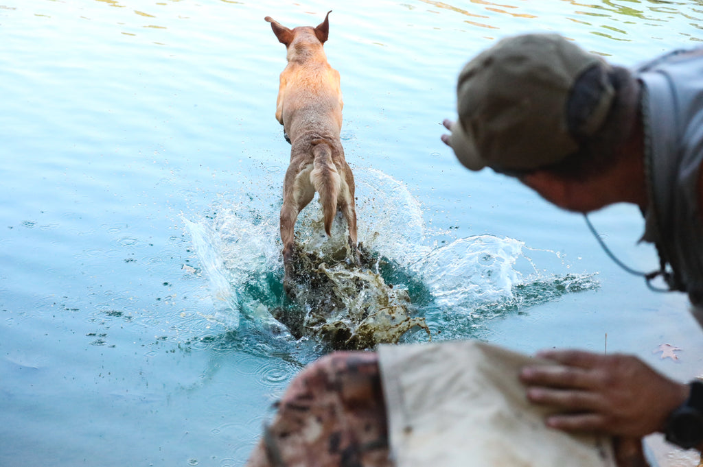 Advanced Handlers Workshop - March 15-16, 2025