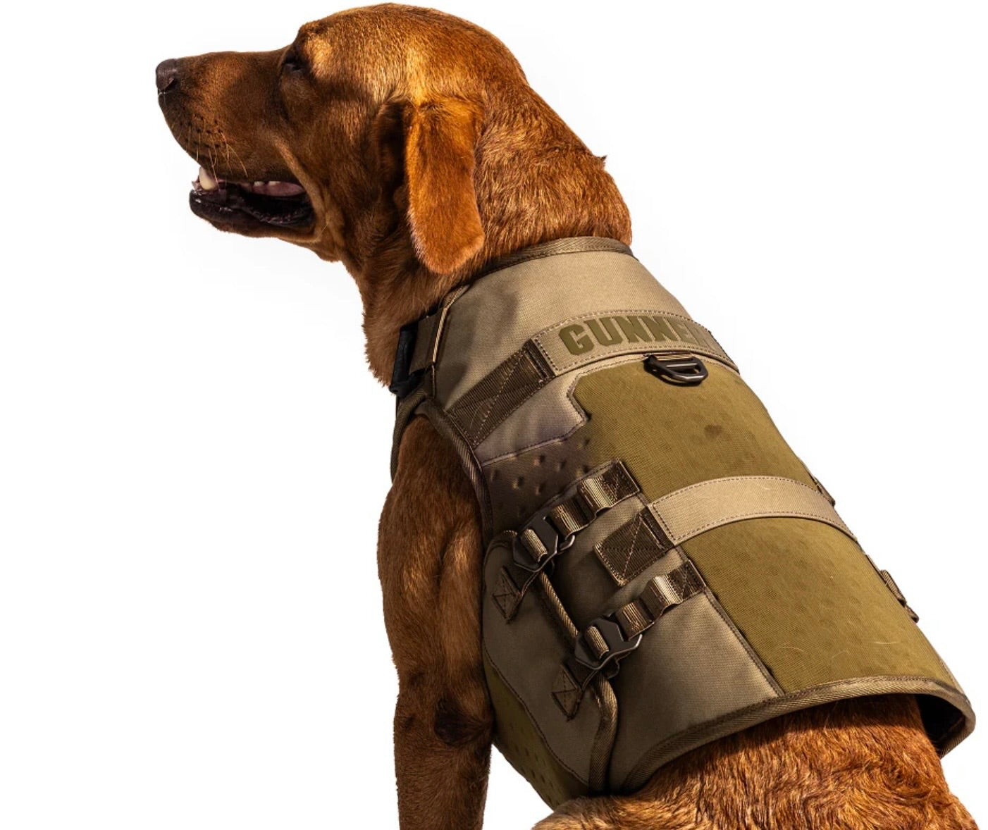 Gunner Waterfowl Dog Vest