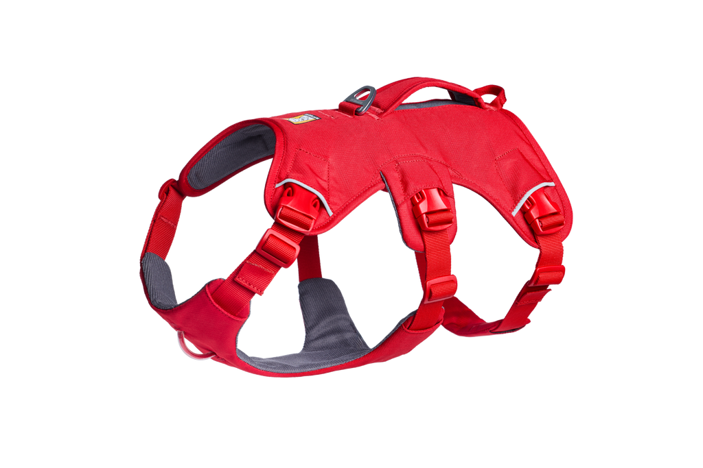 Ruffwear WebMaster Dog Harness