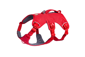 Ruffwear WebMaster Dog Harness