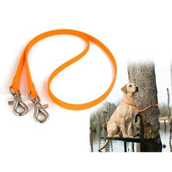 Tree leash best sale for dogs