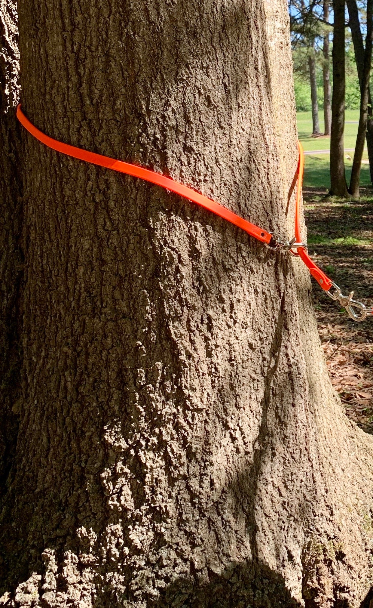 Wildrose Tree Tie Lead