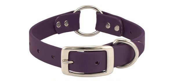 Fox Dog Collar  Purple Dog Collar – GrayandHound