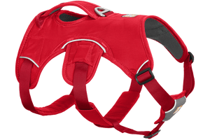 Ruffwear WebMaster Dog Harness