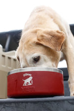 YETI - Boomer Dog Bowl